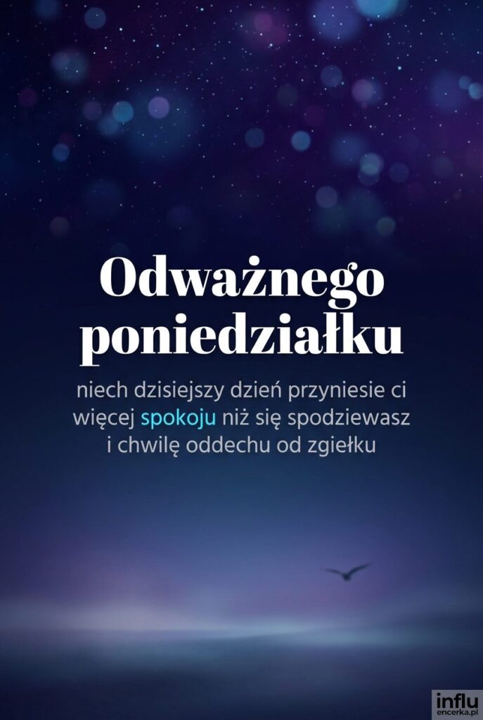 Ciemne, granatowe niebo z bokeh i lecącym ptakiem oraz napisem „Odważnego poniedziałku".