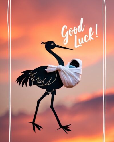 Sylwetka bociana niosącego niemowlę zawiniątko na tle różowo-pomarańczowego zachodu słońca, z napisem „Good Luck!”