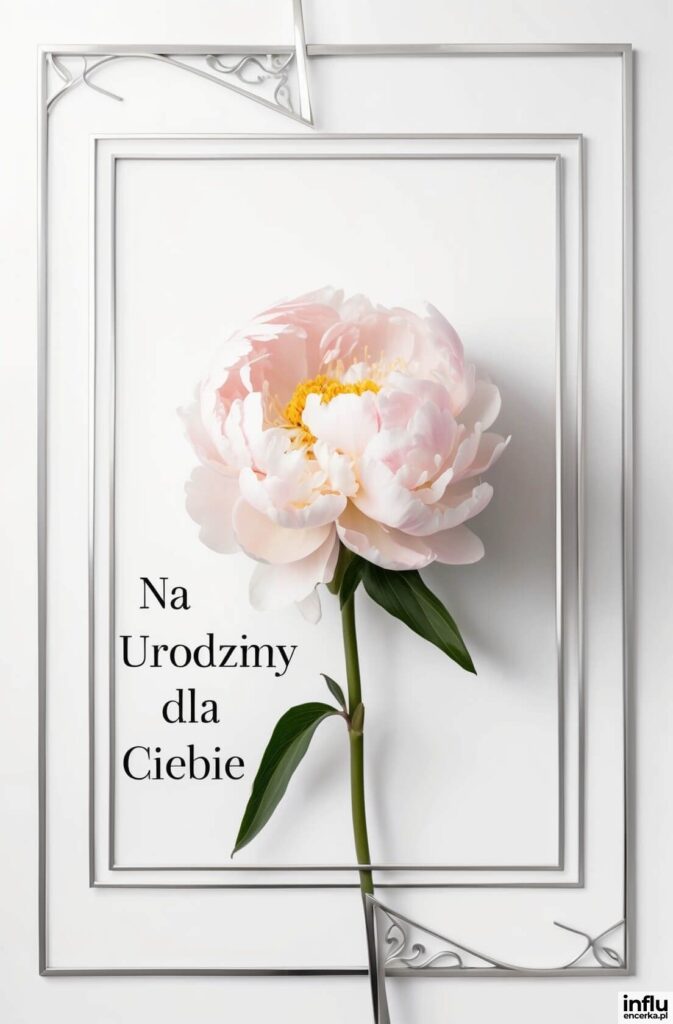 Pojedyncza jasnoróżowa piwonia na białym tle w srebrnej ramce, napis „Na urodziny dla Ciebie”.