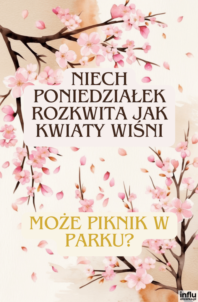 Gałązki wiśni w rozkwicie z opadającymi płatkami i napisem „Niech poniedziałek rozkwita jak kwiaty wiśni. Może piknik w parku?”