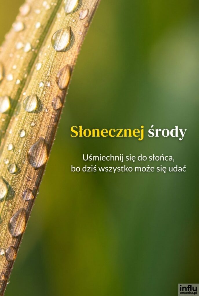 Kropla rosy na liściu w słonecznym świetle z napisem Słonecznej środy
