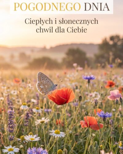 Łąka pełna polnych kwiatów z motylem w słońcu i napisem „Pogodnego dnia”.