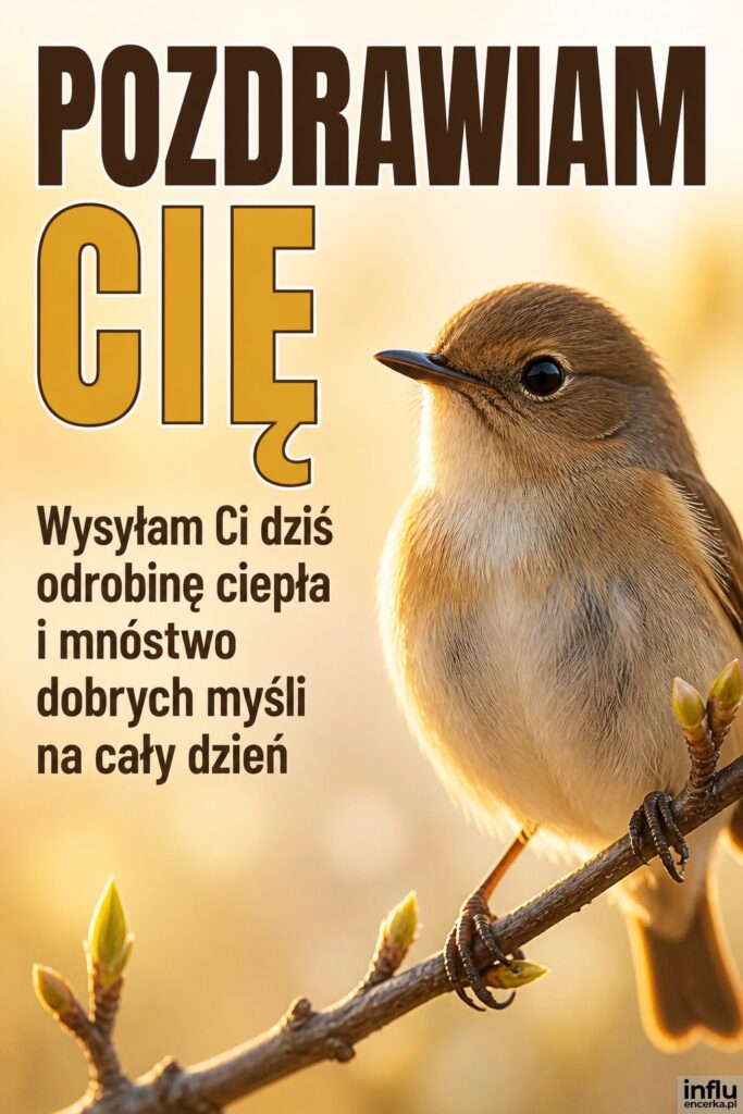 Mały ptaszek na gałązce w porannym świetle z nagłówkiem „POZDRAWIAM CIĘ".