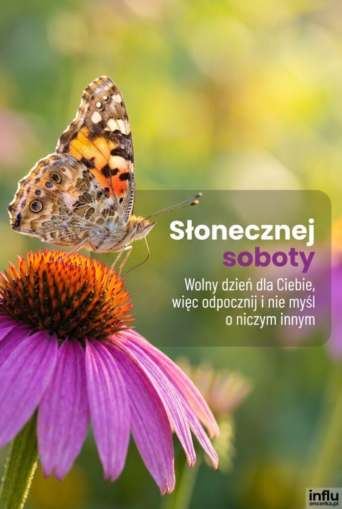 Zdjęcie motyla na kolorowym kwiecie w słoneczny dzień z napisem Słonecznej soboty