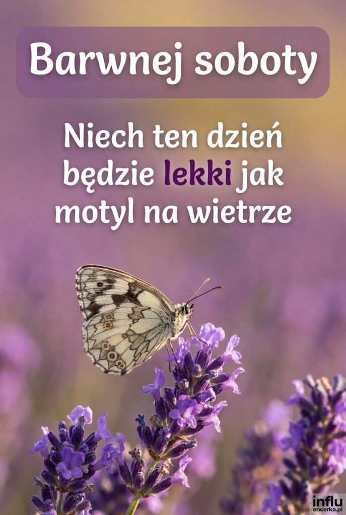 Motyl na kwiecie lawendy w słońcu z napisem Barwnej soboty