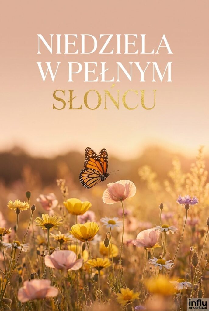 Łąka pełna kwiatów i motyl w złotym świetle zachodu słońca z napisem „Niedziela w pełnym słońcu".
