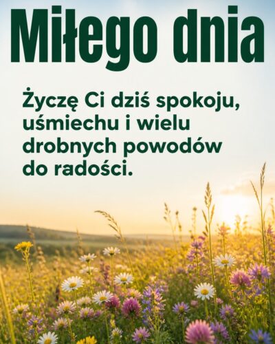 Łąka polnych kwiatów o poranku z napisem „Miłego dnia” na jasnym niebie.