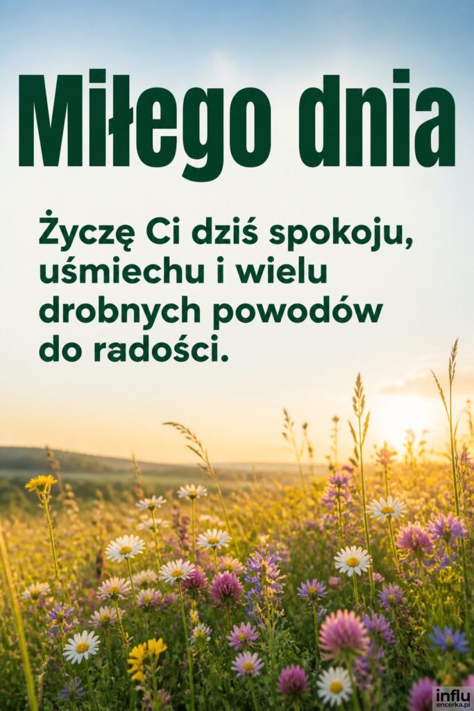 Łąka polnych kwiatów o poranku z napisem „Miłego dnia” na jasnym niebie.