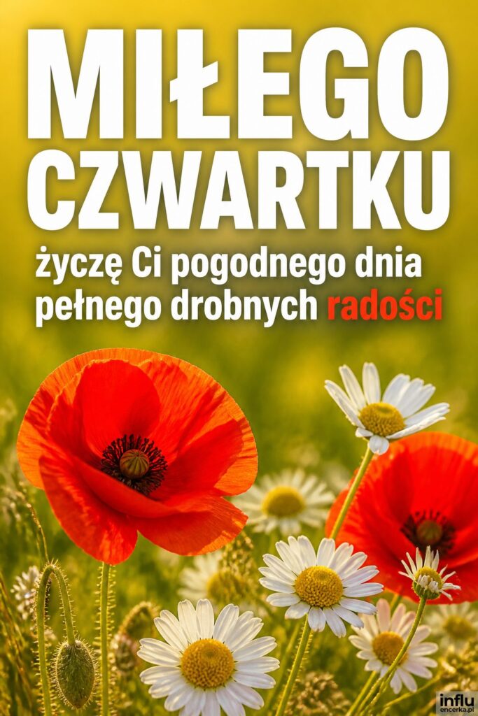 Zbliżenie na polne kwiaty w słonecznym świetle z napisem „Miłego czwartku".