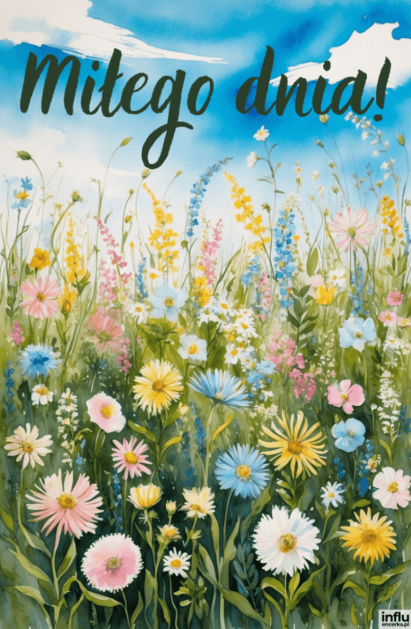 Polne kwiaty na miły dzień