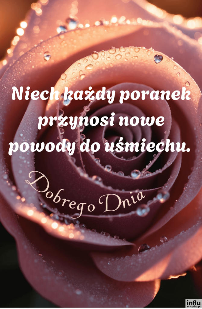 Zbliżenie różowej róży pokrytej kroplami rosy z napisami „Niech każdy poranek przynosi nowe powody do uśmiechu.”