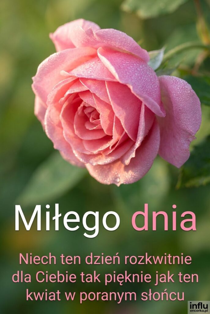 Zbliżenie na kwiat pokryty rosą w poranym świetle z napisem „Miłego dnia”.