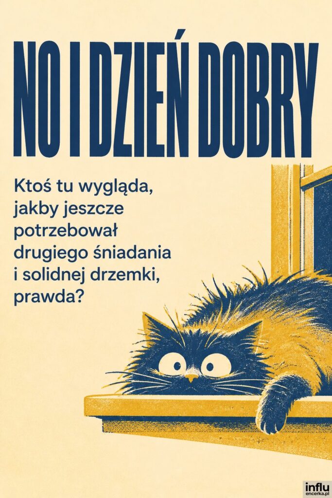 Sitodrukowa ilustracja rozczochranego kota na parapecie w kolorach musztardy i granatu, nagłówek „NO I DZIEŃ DOBRY”.
