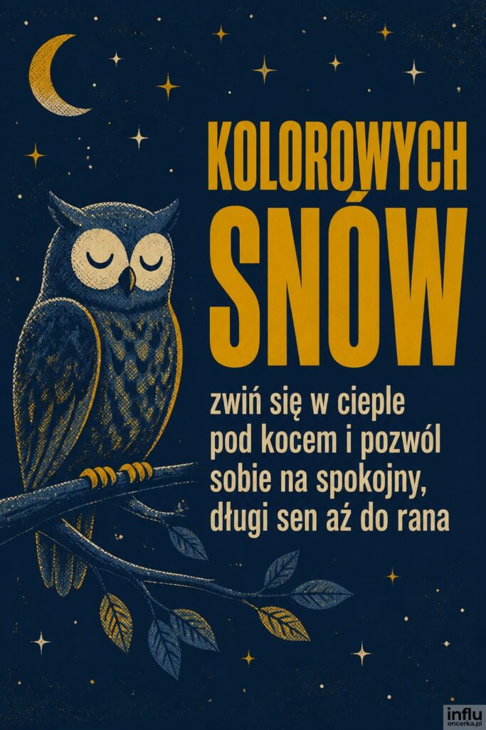 Sitodrukowa sowa na gałęzi wśród gwiazd z nagłówkiem „KOLOROWYCH SNÓW”.
