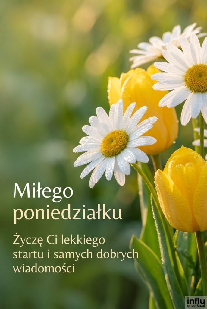 Świeże kwiaty z kropelkami rosy w makro fotografii z napisem Miłego poniedziałku.