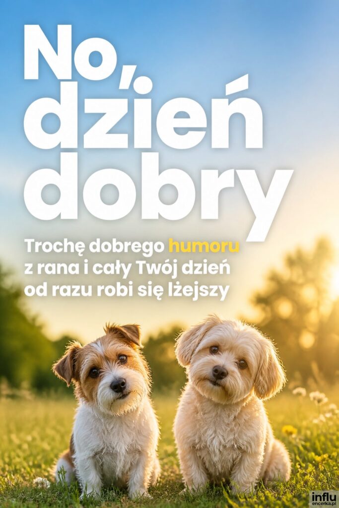 Dwa zabawne pieski na porannej łące, u góry nagłówek „No, dzień dobry” na jasnym niebie.