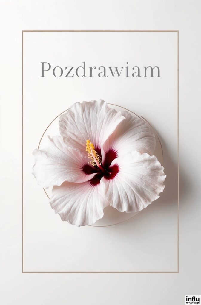Biały hibiskus z bordowym środkiem i żółtymi pręcikami na jasnym tle z napisem „Pozdrawiam”