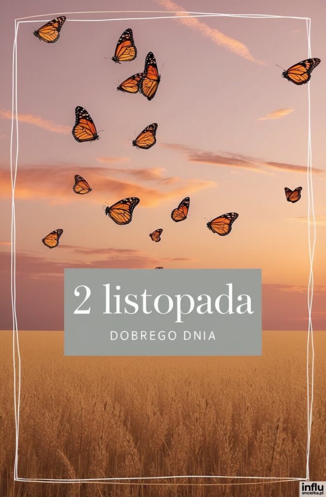 Stado motyli monarchy unoszące się nad złotym polem zboża o zachodzie słońca, z napisem „2 listopada – DOBREGO DNIA”