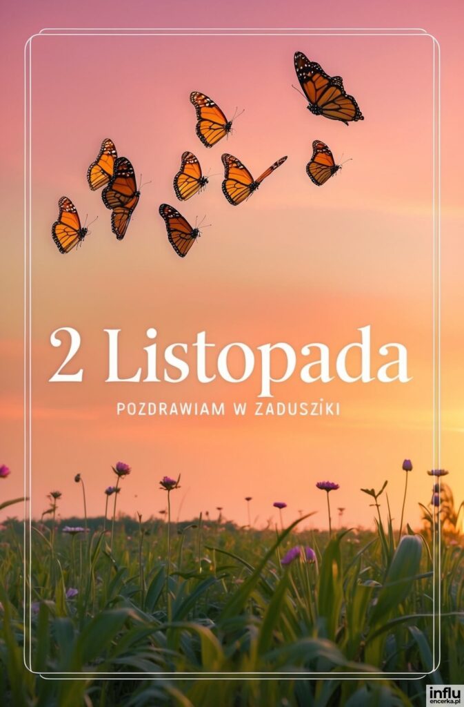Stado pomarańczowych motyli monarchów unosi się nad łąką o zachodzie słońca, na różowym niebie widnieje napis „2 Listopada”