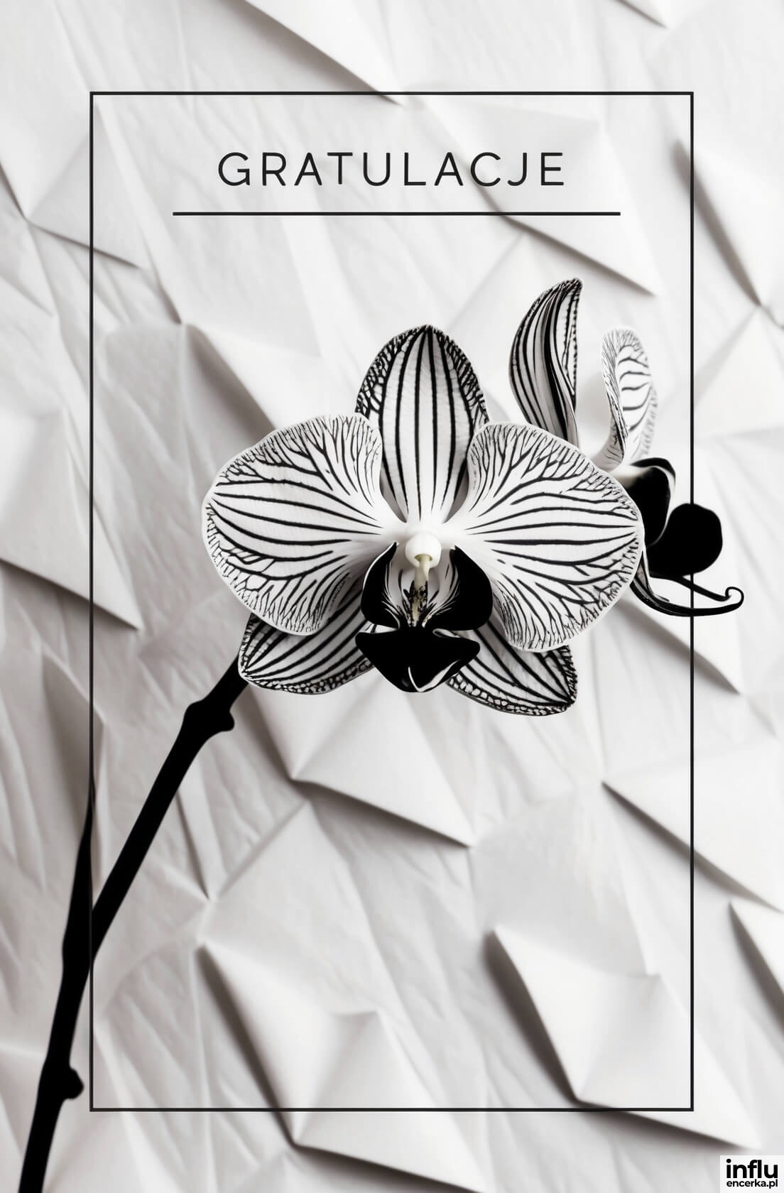 Kartka, pojedyncza orchidea, gratulacje