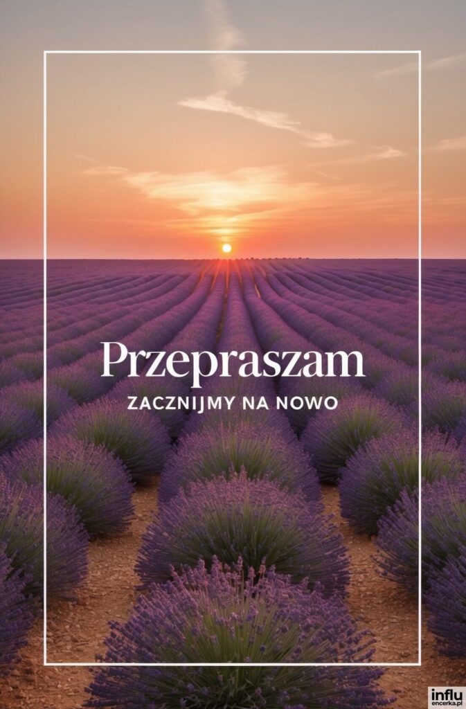 Pole lawendy podczas zachodu słońca z napisem „Przepraszam”