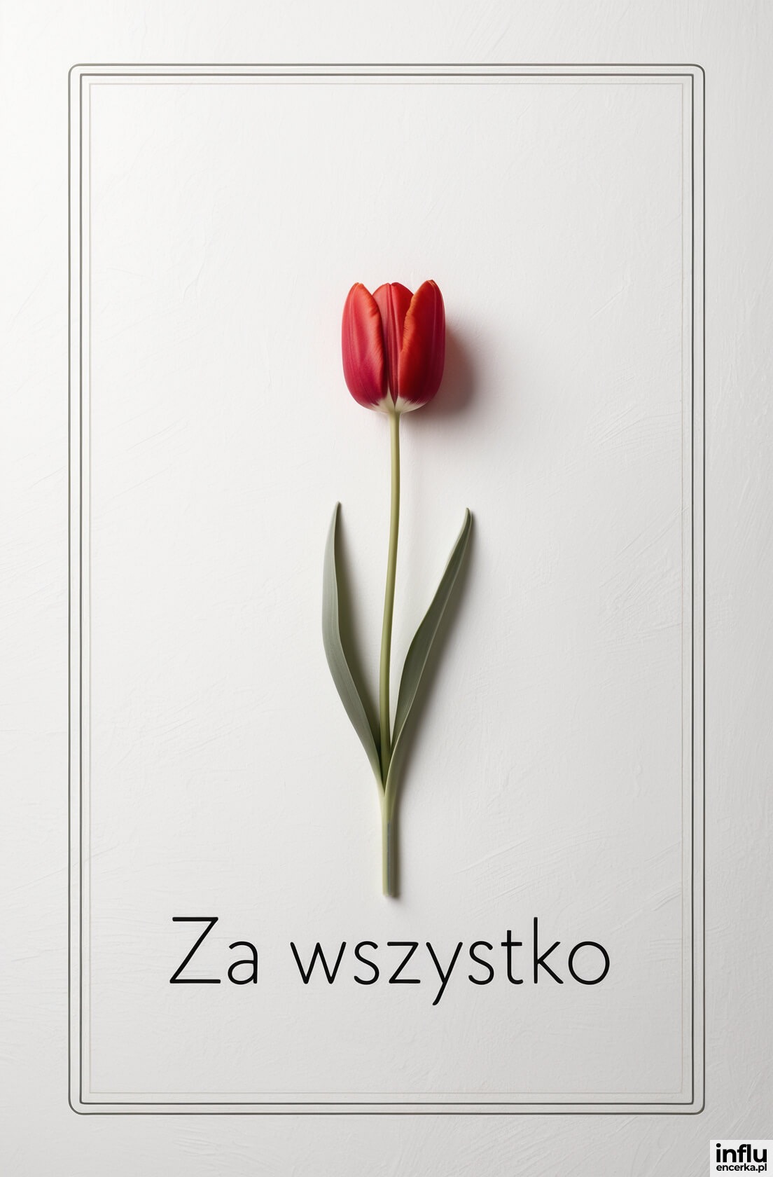 Kartka, tulipan za wszystko