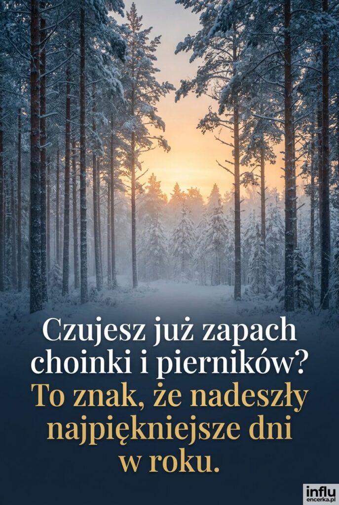 Fotorealistyczny zaśnieżony las iglasty o zmierzchu z mgłą; napis „Czujesz już zapach choinki i pierników? To znak, że nadeszły najpiękniejsze dni w roku".
