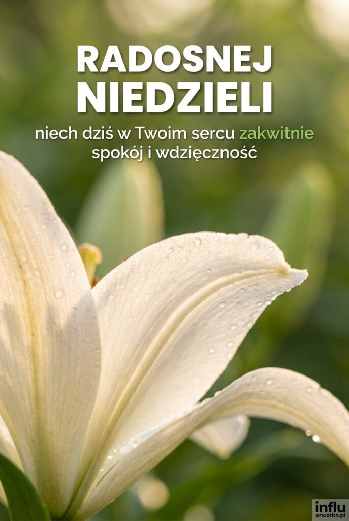 Zbliżenie na białe lilie z kropelkami rosy i napisem „Radosnej niedzieli” u góry kadru.
