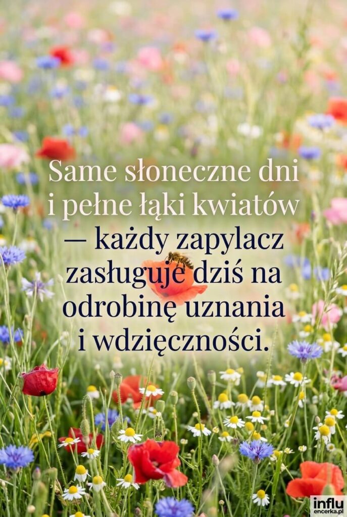 Pastelowa łąka z makami i pszczołą na kwiecie, z napisem „Same słoneczne dni i pełne łąki kwiatów".