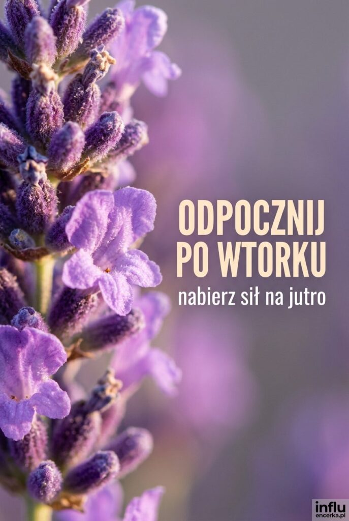 Detale kwiatów lawendy z bardzo bliska i jasny tekst "Odpocznij po wtorku" uspokajający przed snem.