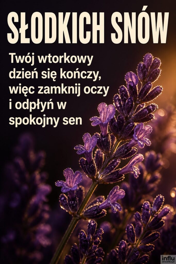 Zbliżenie gałązki lawendy w wieczornym świetle z napisem „SŁODKICH SNÓW” na wtorek.