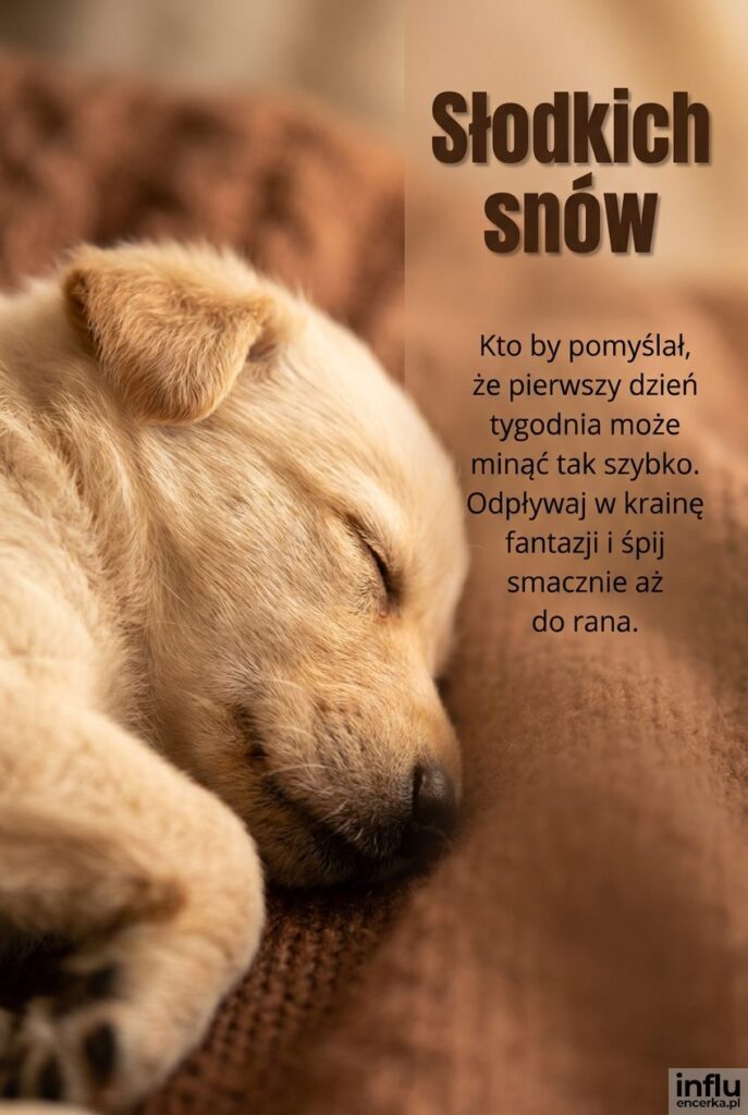 Bardzo bliskie ujęcie śpiącego szczeniaczka na puszystym kocu z nagłówkiem „Słodkich snów”.