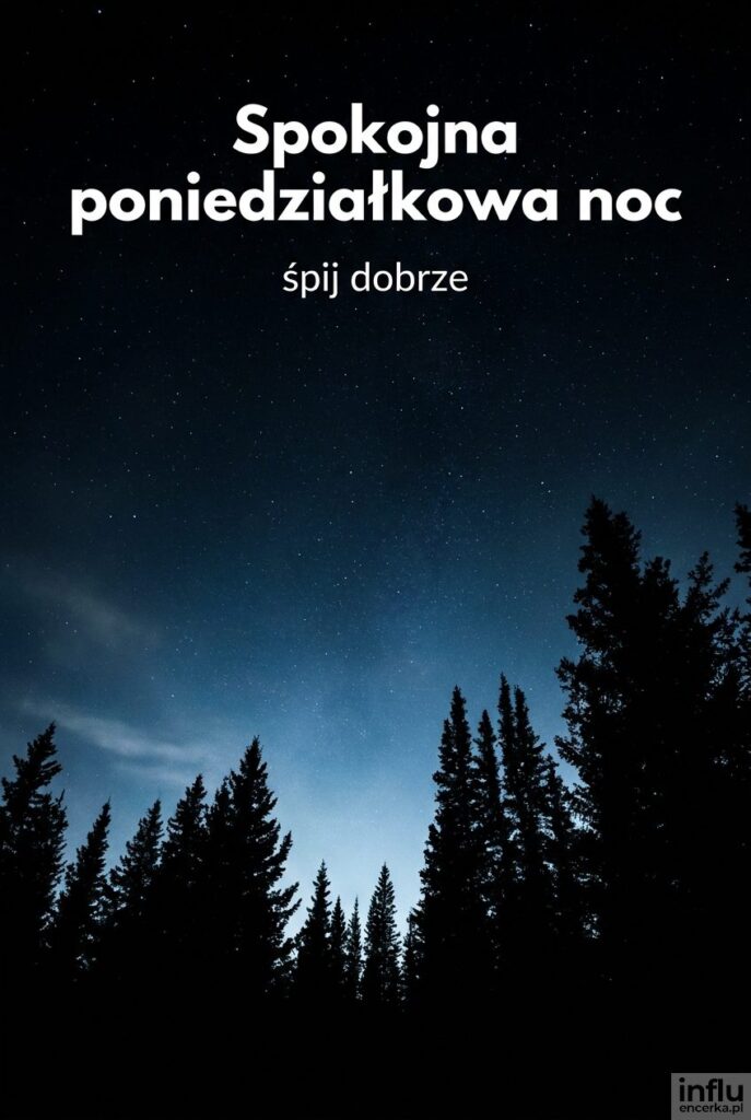 Zarys lasu sosnowego na tle zimnego, gwieździstego nieba i napis „Spokojna poniedziałkowa noc”.