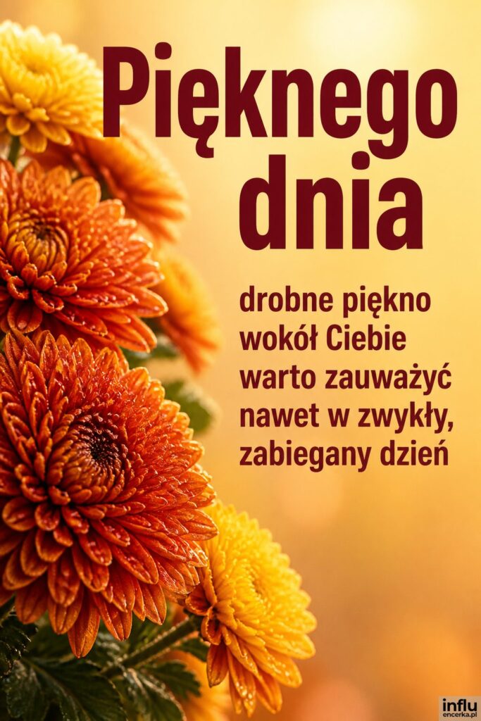 Bukiet jesiennych chryzantem z kroplami rosy po lewej z napisem „Pięknego dnia” po prawej.